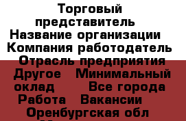 Торговый представитель › Название организации ­ Компания-работодатель › Отрасль предприятия ­ Другое › Минимальный оклад ­ 1 - Все города Работа » Вакансии   . Оренбургская обл.,Медногорск г.